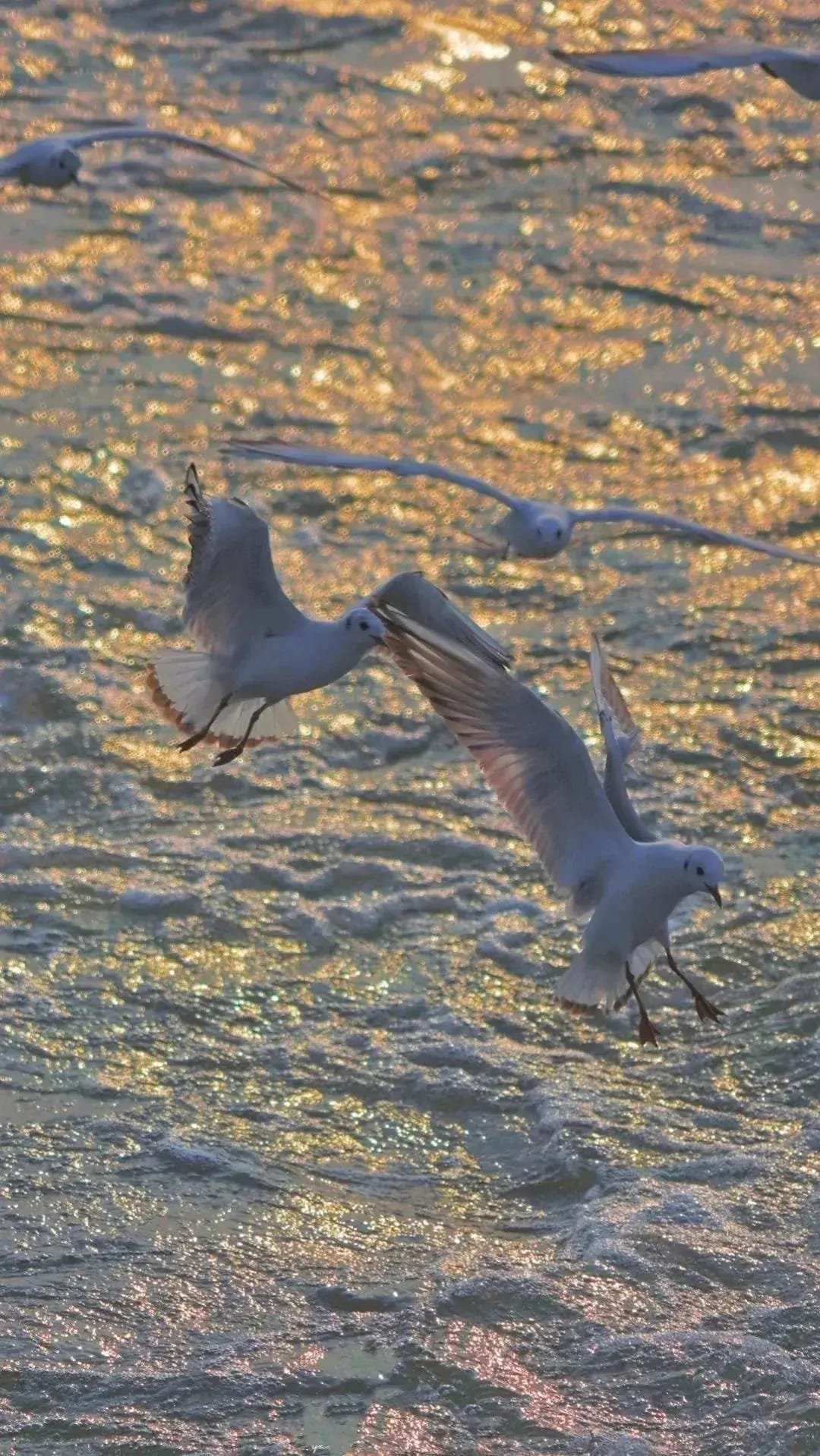 Scenery Wallpaper 34