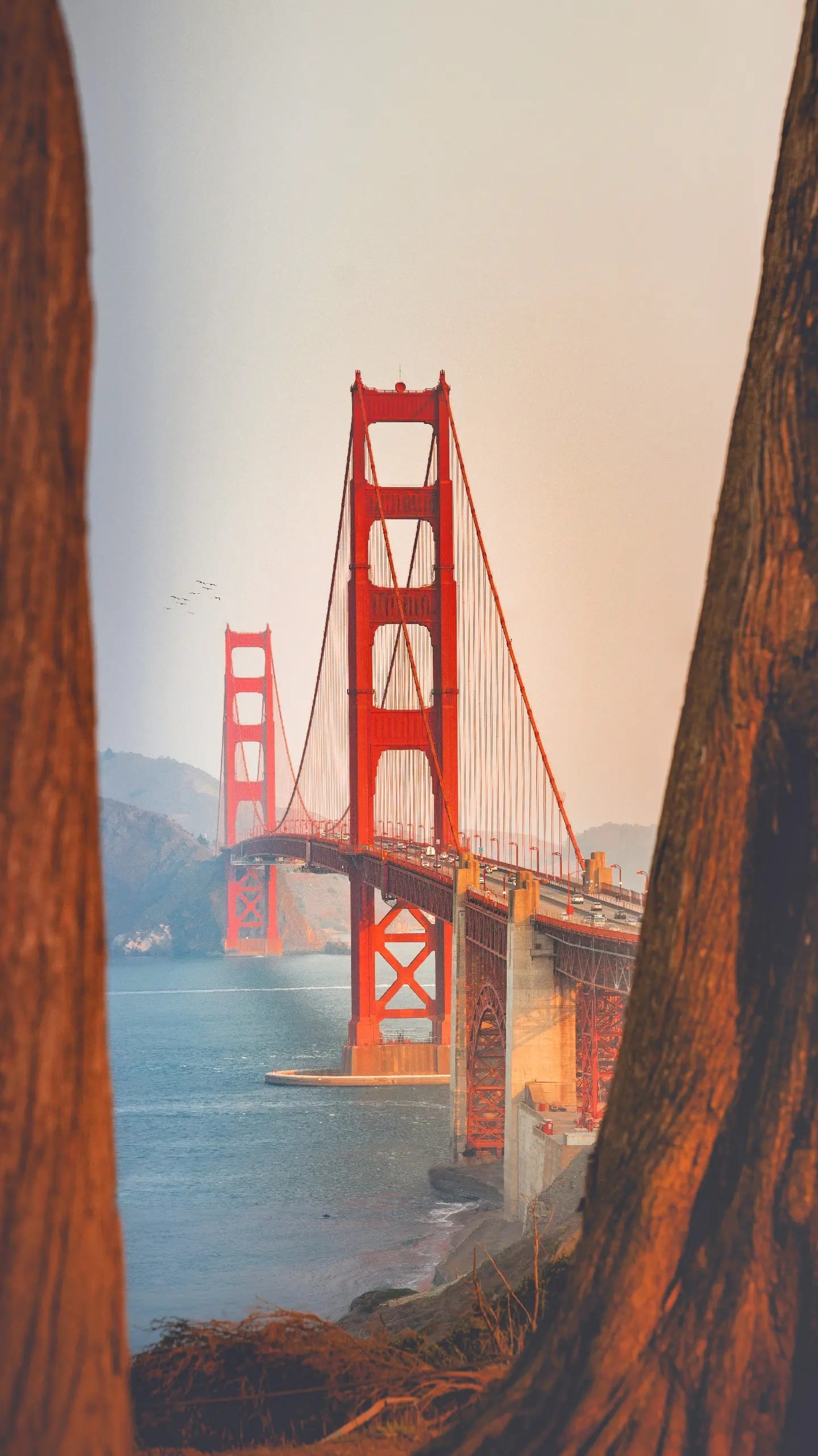 Scenery Wallpaper 38