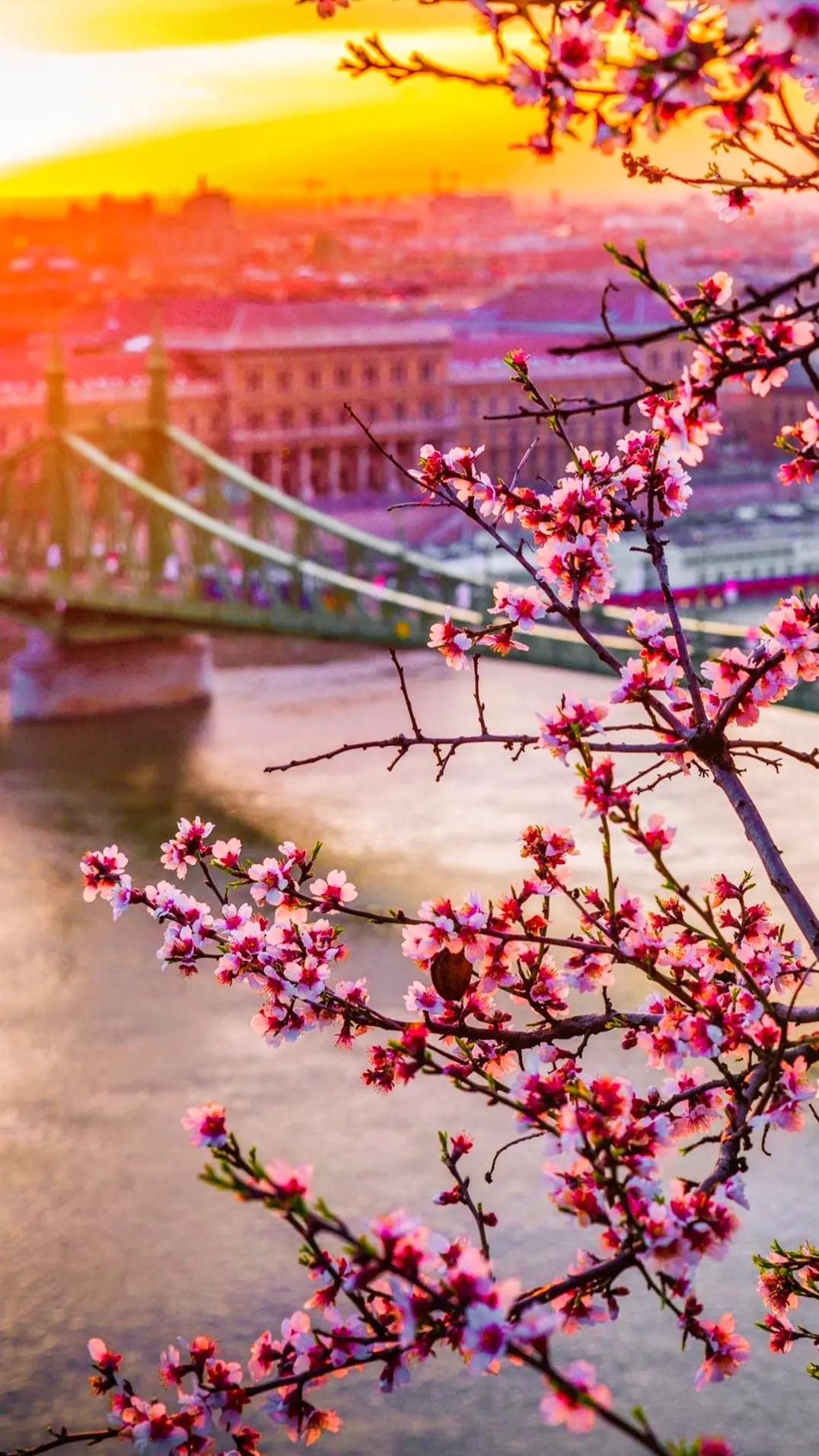 Scenery Wallpaper 43