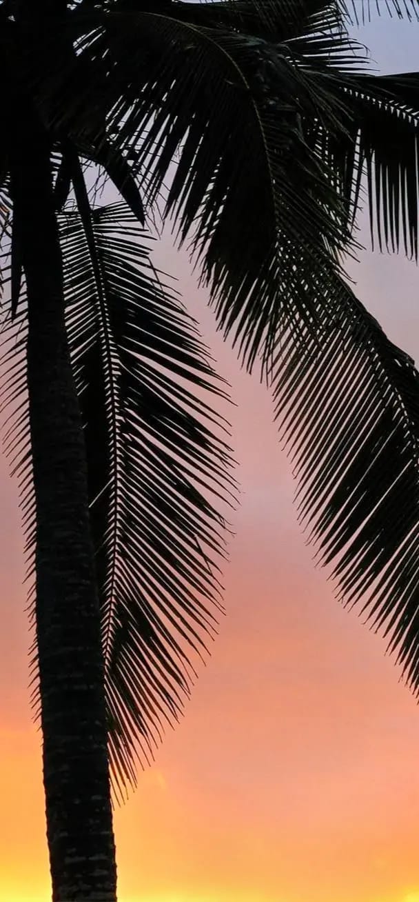 Scenery Wallpaper 54